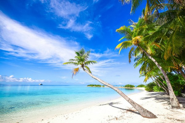 L'économie derrière une équipe de basket